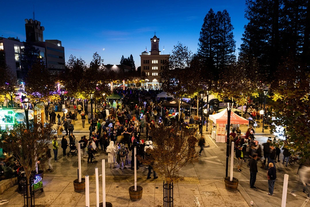 Winter Lights | Downtown Santa Rosa