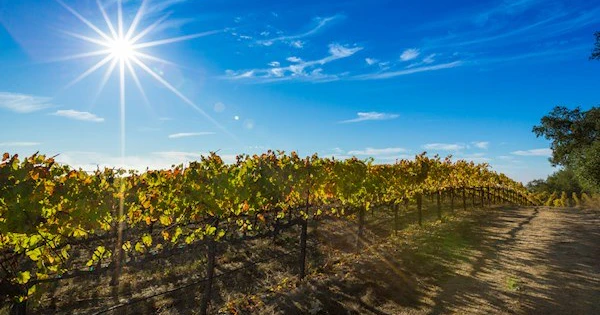 Glorious Late Summer, Early Fall in Santa Rosa | Visit Santa Rosa