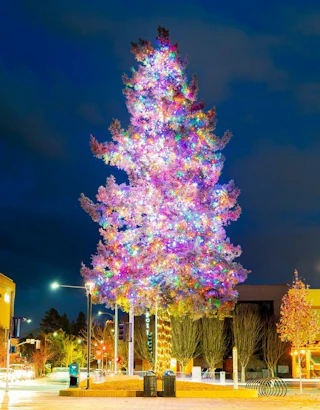 Holiday Magic in Santa Rosa | Visit Santa Rosa