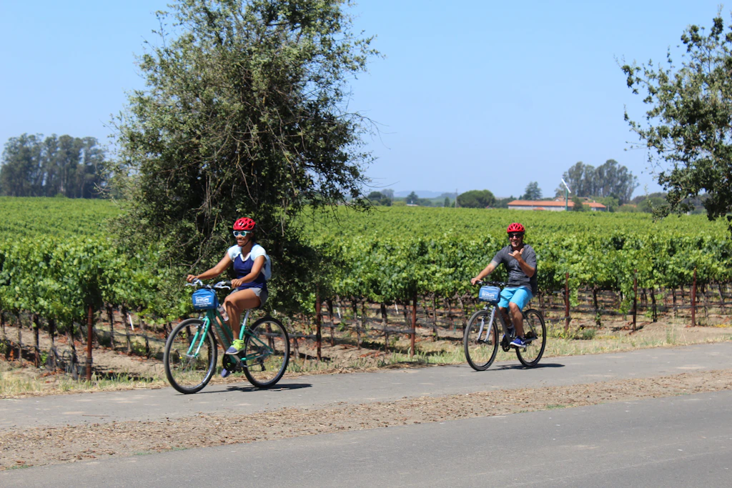 Top 30 Things To Do in Santa Rosa, CA | Visit Santa Rosa